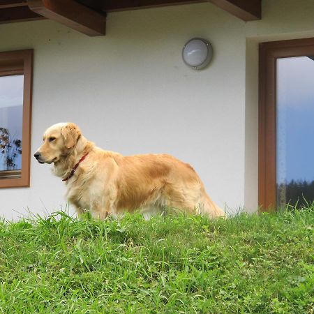 Apartament Il Cardo Trentino Bedollo Zewnętrze zdjęcie