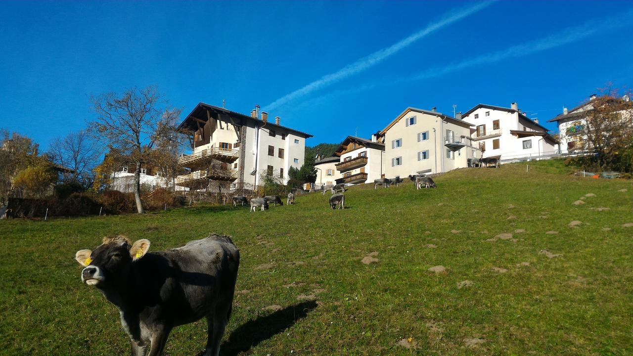 Apartament Il Cardo Trentino Bedollo Zewnętrze zdjęcie