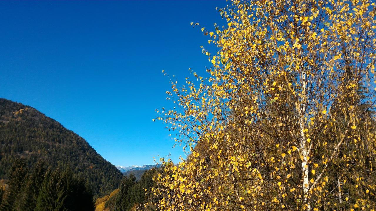 Apartament Il Cardo Trentino Bedollo Zewnętrze zdjęcie