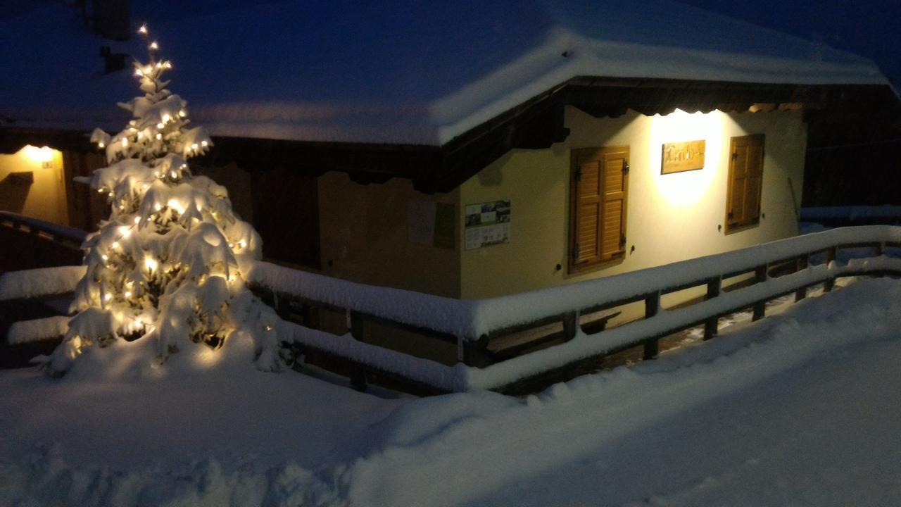 Apartament Il Cardo Trentino Bedollo Zewnętrze zdjęcie