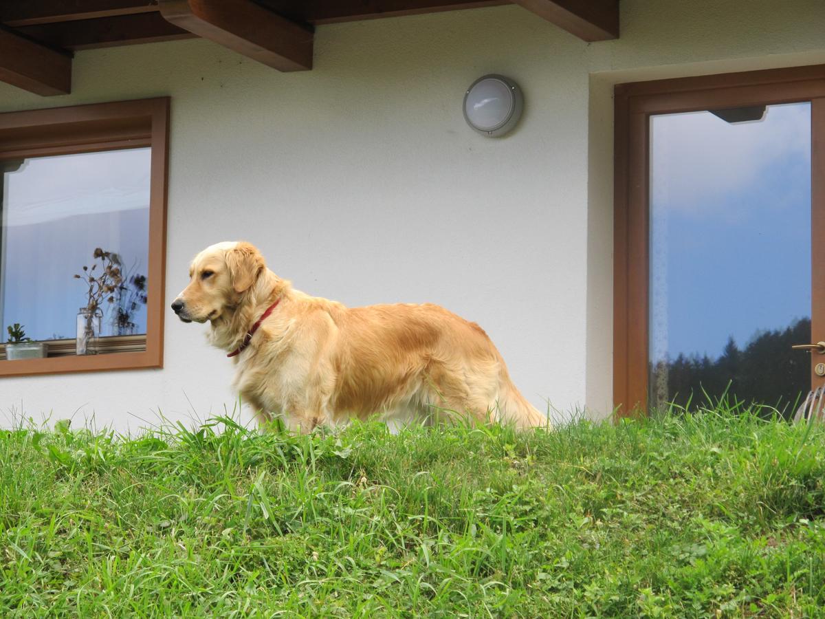 Apartament Il Cardo Trentino Bedollo Zewnętrze zdjęcie