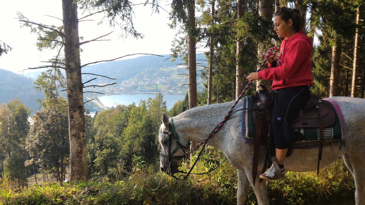 Apartament Il Cardo Trentino Bedollo Zewnętrze zdjęcie