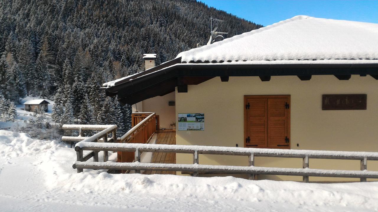 Apartament Il Cardo Trentino Bedollo Zewnętrze zdjęcie