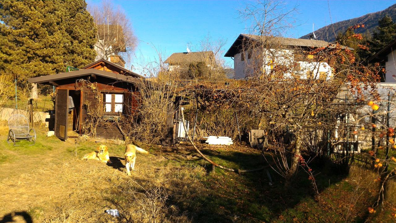 Apartament Il Cardo Trentino Bedollo Zewnętrze zdjęcie