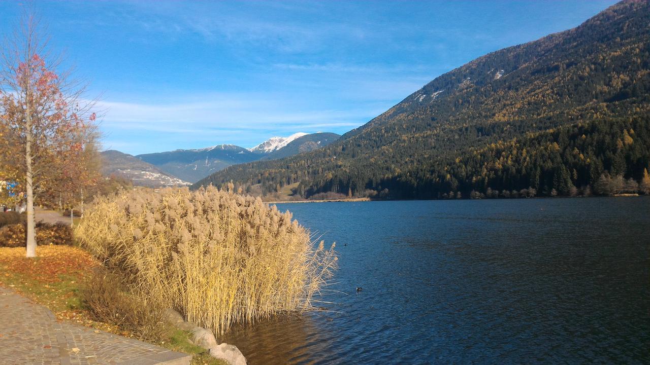 Apartament Il Cardo Trentino Bedollo Zewnętrze zdjęcie