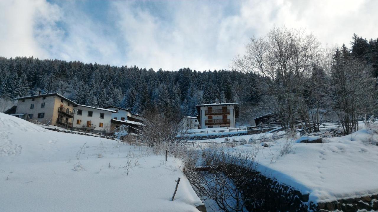 Apartament Il Cardo Trentino Bedollo Zewnętrze zdjęcie