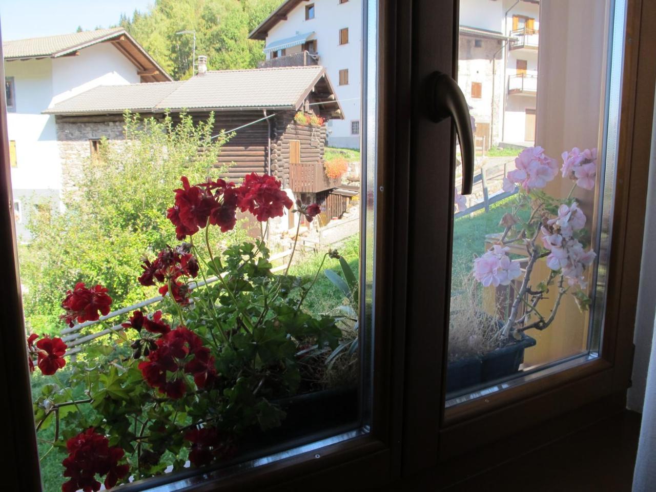 Apartament Il Cardo Trentino Bedollo Zewnętrze zdjęcie